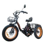 Kugoo Trike 750W 48V Electric Three-Wheel Bike