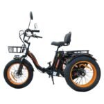 Kugoo Trike 750W 48V Electric Three-Wheel Bike - Image 4
