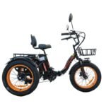 Kugoo Trike 750W 48V Electric Three-Wheel Bike - Image 3